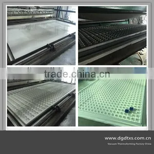 OEM Large Vacuum Forming Thermoforming Plastic Tray thumbnail-1