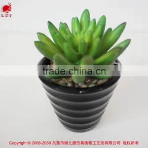 Wholesale Artificial Plants Mini Succulents for Indoor Decoration thumbnail-5