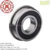 Deep Groove Bearings thumbnail-1