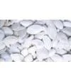 Pumpkin Seeds thumbnail-1