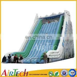 Giant Inflatable Slide/high Inflatable Slide thumbnail-1