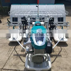 China 6 Rows 4 Rows 2.6kw World Rice Transplanter Manual Transplanter Rice for Sale thumbnail-6