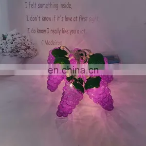 Hot Sale Unique Harvest Decoration Plastic Grape Shape String Light thumbnail-1