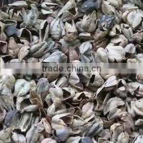 Buckwheat Hulls thumbnail-1