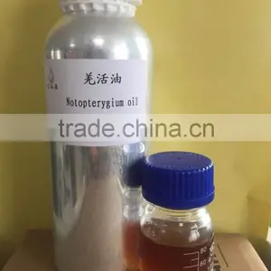 Organic Good Quality of Natural Notopterygium Oil 99% Root Oil thumbnail-1