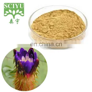 100% Natural Gordon Euryale Seed Extract Semen Euryales Extract thumbnail-2