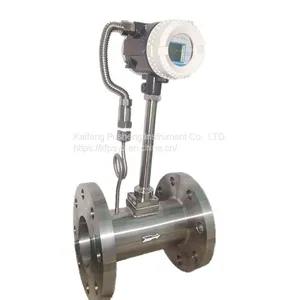 DN20 Gas Flowmeter Vortex Flowmeter Metering Accuracy thumbnail-3