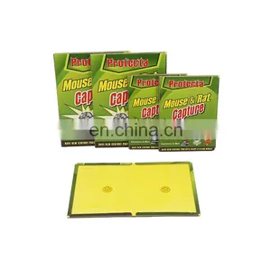 Yellow Sticky Insect Killer Insect Mouse Glue Traps Non-toxic Mouse Rat Glue Trap thumbnail-2