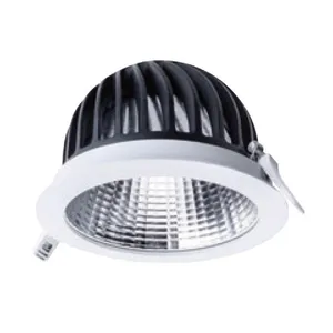 Philips DN592B/DN595B Down Light thumbnail-1