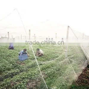 Jiangsu Green Full Anti-insect Net thumbnail-1