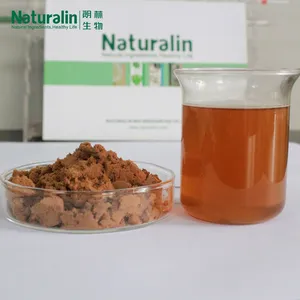 Reishi Mushroom Extract thumbnail-2