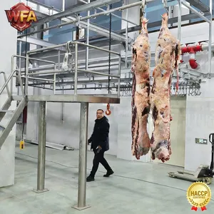 Halal Cattle Abattoir Machine Beef Slaughterhouse Equipment Automatic Bull Slaughtering Plant Professional Turnkey Project thumbnail-2