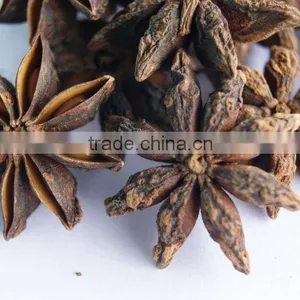 Star Ani Seeds thumbnail-1