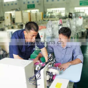 Double-Disc Ultrasonic Hot-Fix Machine thumbnail-1