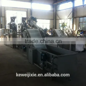 2 Tons Pineapple Production Line thumbnail-1