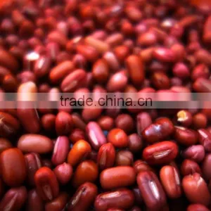 Red Aduki Bean thumbnail-1