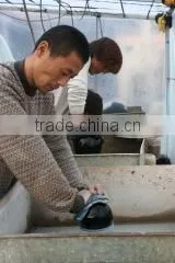 Donghai Tianmai International Trade Co., Ltd. company overview - view 3 thumbnail