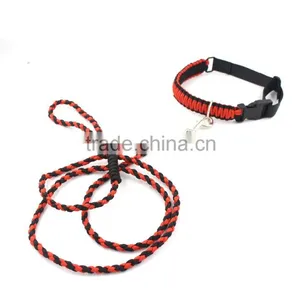 Braid Rope Dog Leash and Collar, Paracord Dog Leash thumbnail-3