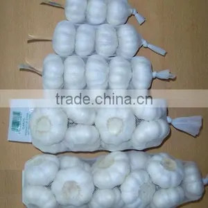 Sell 2012 Crop Fresh Garlic in Retail Packing thumbnail-1