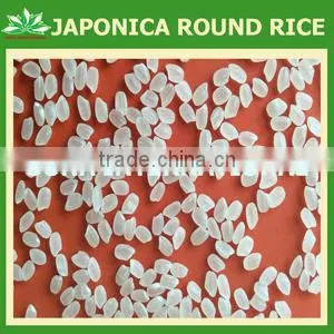 VIETNAMESE JAPONICA RICE - Crop 2015 thumbnail-1