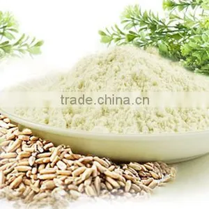 First Quality Instant Barley Drink Powder for Beverage/food thumbnail-1