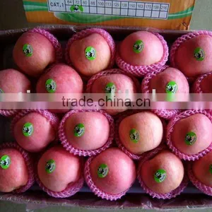 Red Apples thumbnail-1