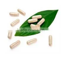 Mytext Radix Puerariae Soft Capsules/Kudzu Root Capsules thumbnail-1