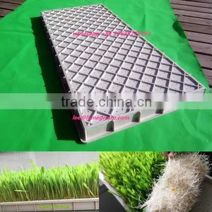 Hydroponic Green Barley,wheat,alfalfa Seedlings Feed Sprouting Trays for Animal,cattle,sheep,goats thumbnail-1