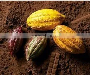 Low Fat , Natural Cocoa Powder From China thumbnail-1