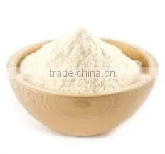 Halloysite Nanotubes Powder thumbnail-1