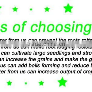 Granular Npk Compound Fertilizer 20-20-20 thumbnail-6