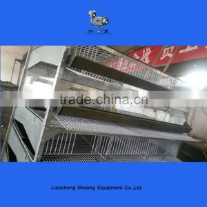 China Sell Automatic Poultry Comericial Cage for Romania thumbnail-5