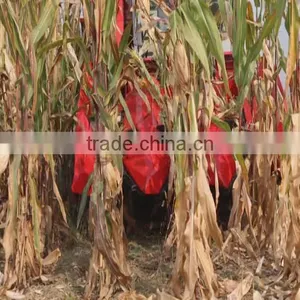 Small Corn Harvester thumbnail-3