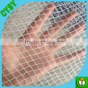 HDPE Anti-bird Net, Anti Bird Protection Net for Vineyard China Factory thumbnail-2