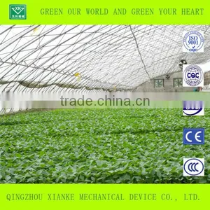 Multi-Span Glass Greenhouse for Agricultural Seeding thumbnail-6