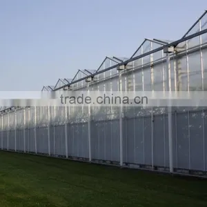 Multi Span Polycarbonate Green House Agriculture & Commercial Used Greenhouse thumbnail-4