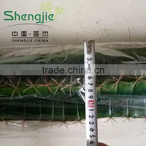 Outdoor Decoration Artificial Cactus Plants thumbnail-6