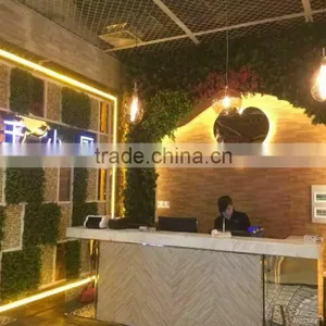 Artificial Leaf Wall Interior Decor New Product Verticial Green Wall thumbnail-3