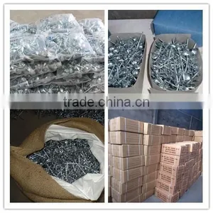 Galvanized Corrugated Roofing Nails From Guangzhou Supplier thumbnail-3