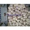 5.5cm Garlic in Mesh Bag thumbnail-1