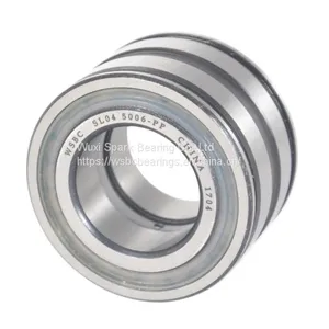 WSBC Sealed Double Row Full Complement Cylindrical Roller Bearings SL04 5009 PP thumbnail-1