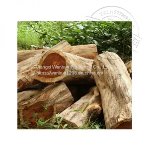 High Quality Pear Oil Wholesale thumbnail-2