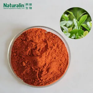 Green Tea Extract thumbnail-4