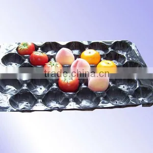 Fresh Tomato Tray Packaging thumbnail-1
