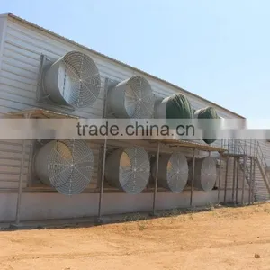 Light Steel Prefab Farm House for Chicken thumbnail-4