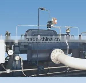API610 Petro Oli Centrifugal Pump Type SD thumbnail-1
