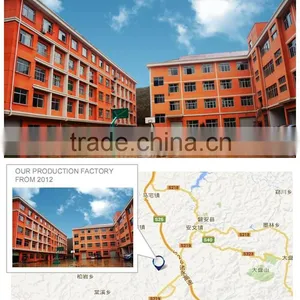 Pan'an Hongye Photoelectricity Arts & Crafts Co., Ltd. company overview - view 1 thumbnail