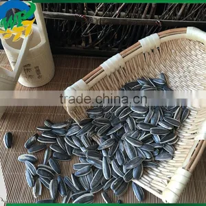 Cheap's New Good Sunflower Seed 5009 thumbnail-2