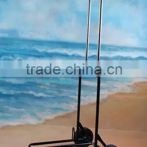 Remote Control Golf Cart thumbnail-1