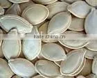 Shine Skin Pumpkin Seeds thumbnail-1